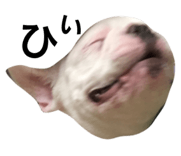 18900325