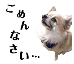 189062011