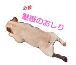189066160