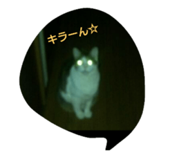 18908936