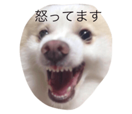 18917983