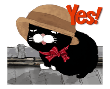 Black bean cat-IN01 รูปที่ 5