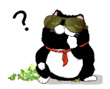 Black bean cat-IN01 รูปที่ 6