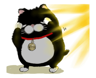 Black bean cat-IN01 รูปที่ 7