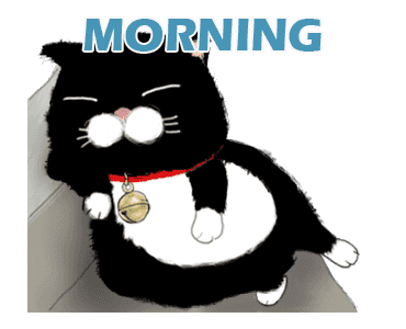Black bean cat -IN03 รูปที่ 1