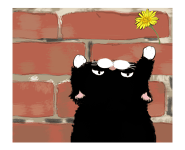 Black bean cat -IN03 รูปที่ 2