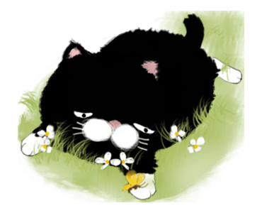 Black bean cat -IN03 รูปที่ 3