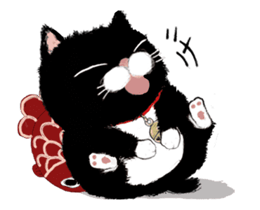 Black bean cat -IN03 รูปที่ 5