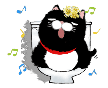 Black bean cat -IN03 รูปที่ 6