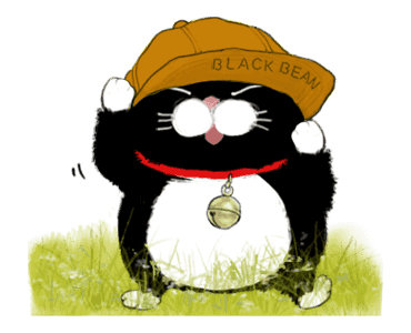 Black bean cat -IN03 รูปที่ 7