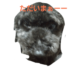 18928090