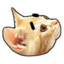 189416907