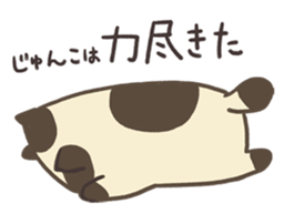 18942886