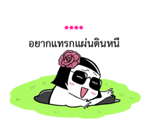 ชีวิตจริงของมี่ป๋อง รูปที่ 15