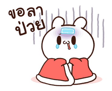 ลายที่ 23