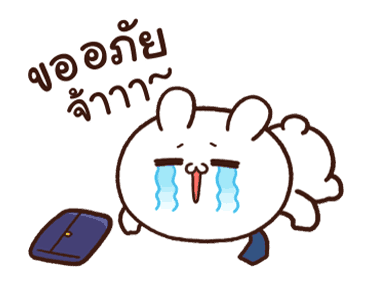 ลายที่ 47