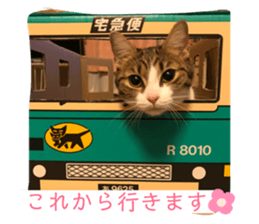 189498461