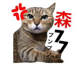 18953639