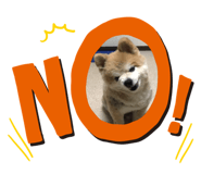 189638569