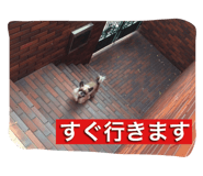 18993737