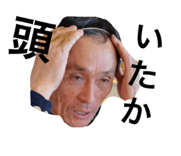 19008617