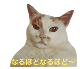 19017685