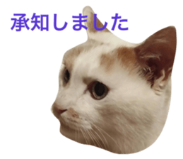 19017686