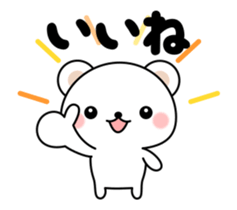 19020545