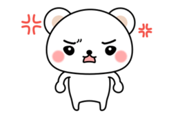 19020561