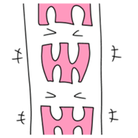 19021500