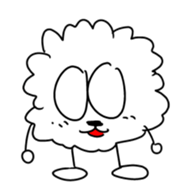 19021567