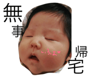 19023517