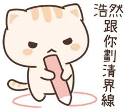 190303046