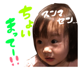 19037227