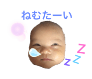 190375236