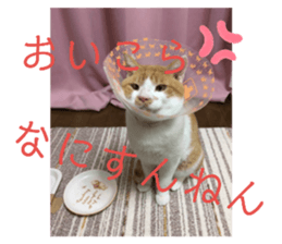 190397881