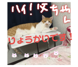 190397886