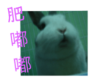 190399736