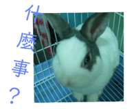 190399740