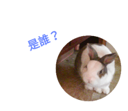 190399762