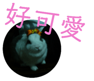 190399764