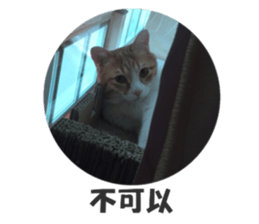190400319
