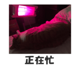190400321