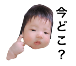 190400431
