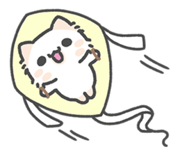 19040611