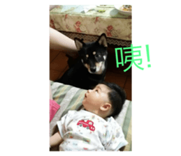 190413737