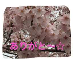 19043270