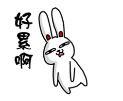 19043561