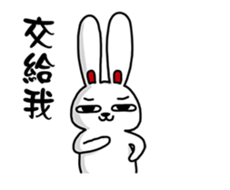 19043567