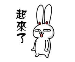 19043572